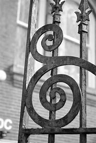 Image result for Alphabet Photography Letter E