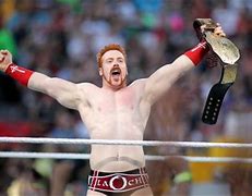 Image result for Sheamus Moves