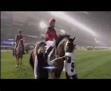 Image result for Rocket Man Horse Dubai