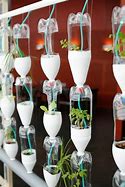 Image result for Pepsi Bottle Plant Hanging