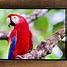 Image result for One Plus 10T Phone