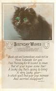 Image result for Black Cat Birthday Memes
