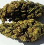 Image result for Headband Og