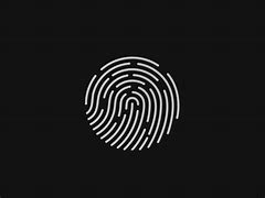 Image result for Fingerprint to Enter a Place with Security