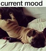 Image result for Switching Mood Meme