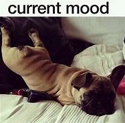 Image result for In the Mood with You Pics Meme