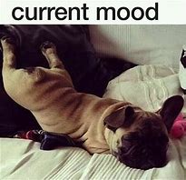 Image result for Mood Today. Meme