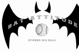 Image result for Bat Attitude Logo