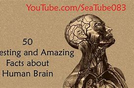 Image result for Cool Brain Facts