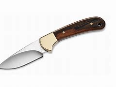 Image result for Buck Knife Skinner