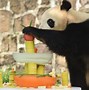 Image result for Tai Shan 1st Birthday