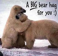 Image result for Care Bear Hug Meme