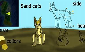 Image result for Sand Cat Memes
