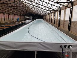 Image result for Floating Raft Aquaculture