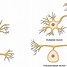 Image result for Neuro Cell
