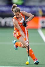 Image result for Field Hockey Pitch Diagram