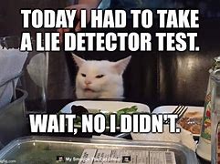 Image result for Cat Detector Meme