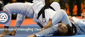 Image result for Jujitsu Thai Air