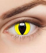 Image result for Yellow Cat Eye Contacts