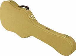 Image result for Armour Telecaster Case
