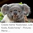 Image result for Lefa Koala Meme