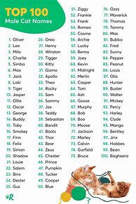 Image result for 100 Cat Names
