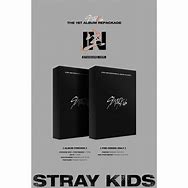 Image result for Stray Kids in Life álbum