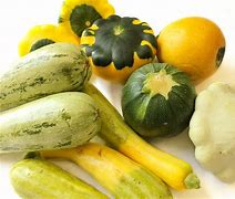 Image result for Types of Squash Plants