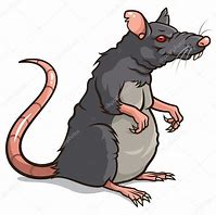 Image result for Evil Rat Drawing