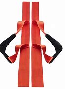 Image result for Carrying Straps