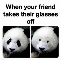 Image result for Panda Glasses Meme