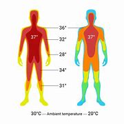 Image result for Human 90 Degrees