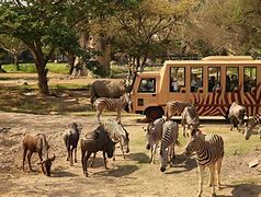 Image result for Zoos in Kenya