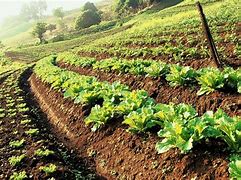 Image result for Sustainable Agriculture