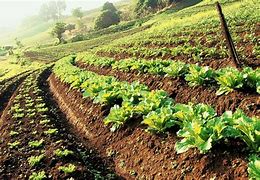 Image result for Sustainable Farm