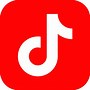 Image result for Tik Tok Logo Black and White