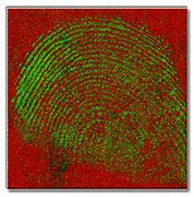 Image result for Physical Fingerprint Scanner Small