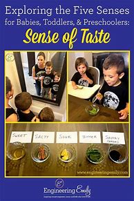 Image result for 5 Senses Smell Activity Preschool