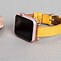 Image result for Apple Watch 9 45 mm Straos