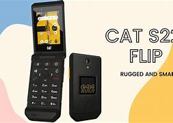 Image result for Caterpillar Flip Phone