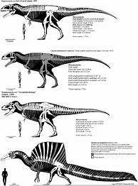 Image result for iPhone Size Comparison 6 vs 6s