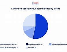 Image result for Shooting at School
