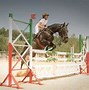 Image result for High Horse Jumping Show
