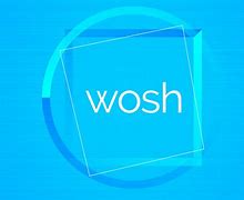 Image result for Wosh BA