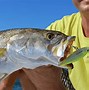 Image result for Saltwater Fishing Lures