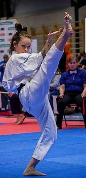 Image result for Martial Arts Ladies