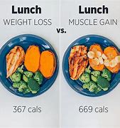 Image result for Weight Loss Muscle Gain