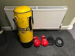 Image result for Boxing Bag