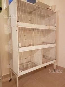 gabbie terenziani prezzo carrello per batteria gabbie terenziani cilea posot class gabbie terenziani prezzo carrello per batteria gabbie terenziani cilea posot class