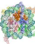 Image result for 4C and 5C Chromatin